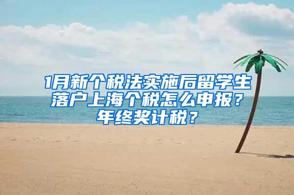 1月新个税法实施后留学生落户上海个税怎么申报？年终奖计税？