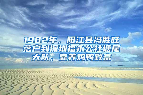 1982年，阳江县冯胜旺落户到深圳福永公社塘尾大队，靠养鸡鸭致富
