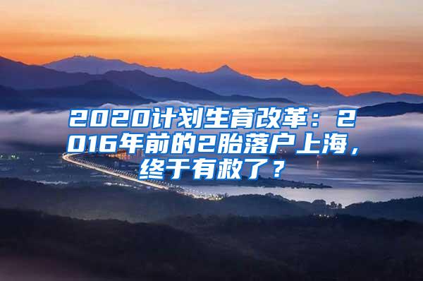 2020计划生育改革：2016年前的2胎落户上海，终于有救了？