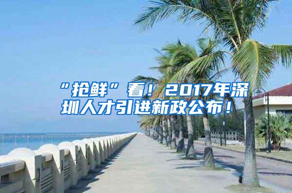 “抢鲜”看！2017年深圳人才引进新政公布！