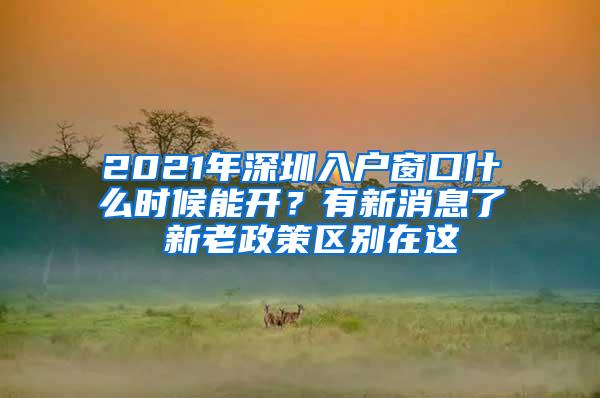2021年深圳入户窗口什么时候能开？有新消息了 新老政策区别在这