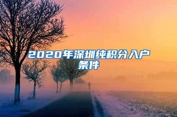 2020年深圳纯积分入户条件