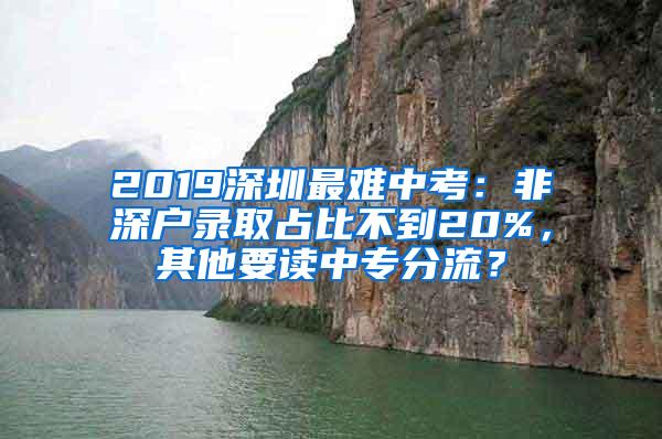2019深圳最难中考：非深户录取占比不到20%，其他要读中专分流？
