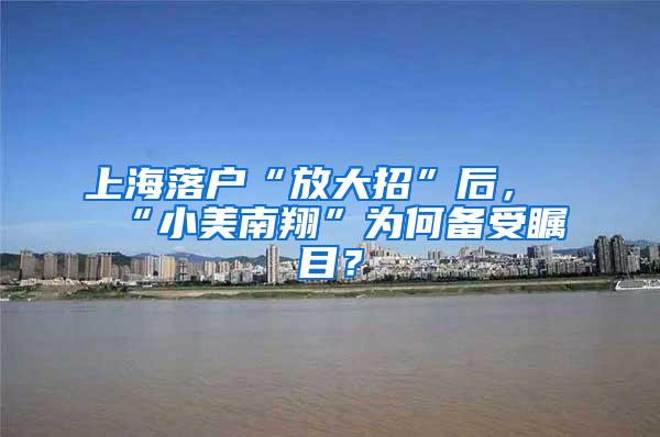 上海落户“放大招”后，“小美南翔”为何备受瞩目？