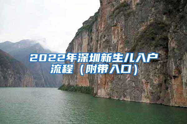 2022年深圳新生儿入户流程（附带入口）
