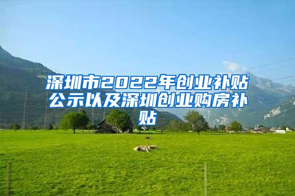 深圳市2022年创业补贴公示以及深圳创业购房补贴