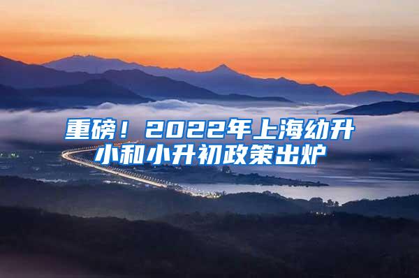 重磅！2022年上海幼升小和小升初政策出炉