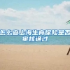 怎么查上海生育保险是否审核通过