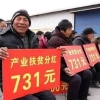 农村领取低保条件？