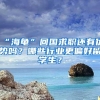 “海龟”回国求职还有优势吗？哪些行业更偏好留学生？