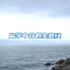 留学中介的生意经