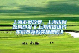 上海市发改委、上海市财政局印发《上海市促进汽车消费补贴实施细则》