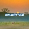 浦东居转户记录