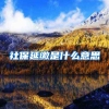 社保延缴是什么意思