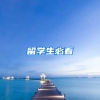 留学生必看