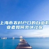 上海市农村户口的自由职业者如何缴纳社保