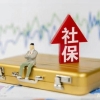 社保新调整？自由职业者缴纳费用提高，此外还有两个好消息