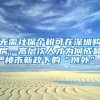 无需社保个税可在深圳购房，高层次人才为何成最严楼市新政下的“例外”？