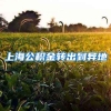 上海公积金转出到异地