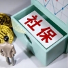 上海2022社保如何转移到外地 上海办理社保需要的资料有哪些？