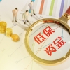 农村低保申请书模板，农村低保的申请条件