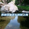 外地社保怎么转到上海
