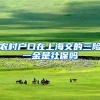 农村户口在上海交的三险一金是社保吗