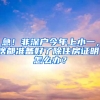 急！非深户今年上小一，啥都准备好了除住房证明，怎么办？
