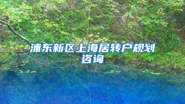 浦东新区上海居转户规划咨询