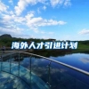 海外人才引进计划