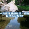 一文看懂深圳社保！竟然有这么多好处？