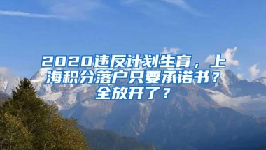 2020违反计划生育，上海积分落户只要承诺书？全放开了？