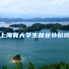上海有大学生就业补贴吗