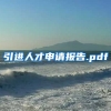 引进人才申请报告.pdf