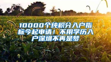10000个纯积分入户指标今起申请！不用学历入户深圳不再是梦